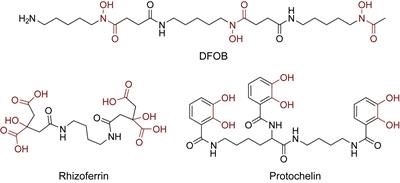 Extraction and Detection of Structurally Diverse Siderophores in Soil